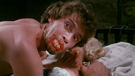 Johnny Wadd: Vampire