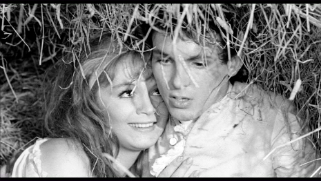 Fanny & Charles rolling in the hay.