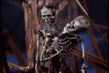 Monster Skeleton!