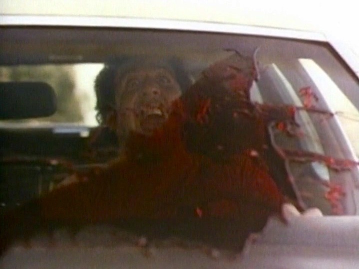 Blood on the windshield