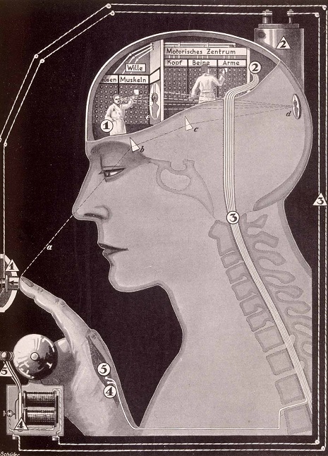 nervous system as an office