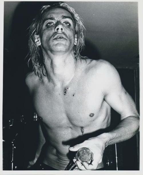 Iggy