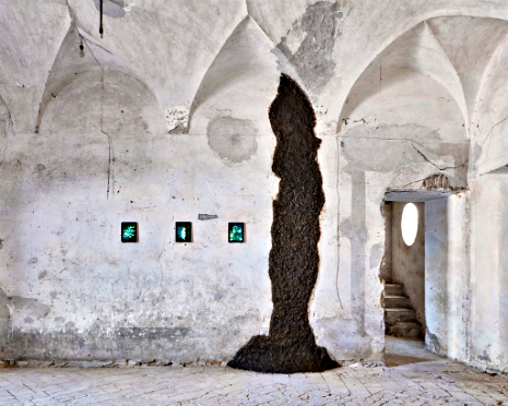The Museum of Shit