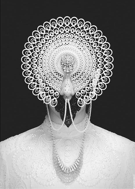 by Ryan Burke