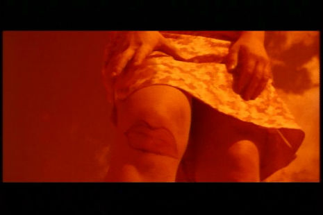 LSD Trip & Hag's Knee