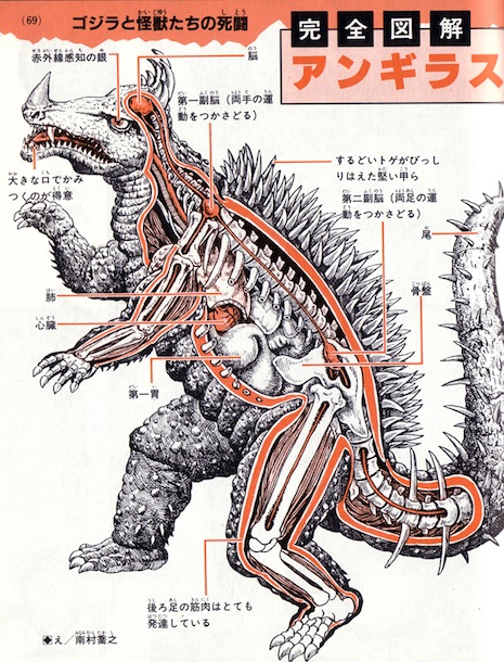 Anguirus