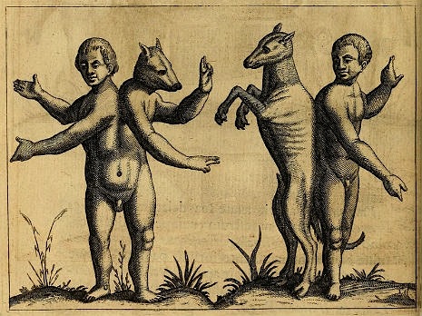 bbbwolfby.jpg