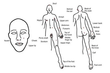 Schmidt pain index