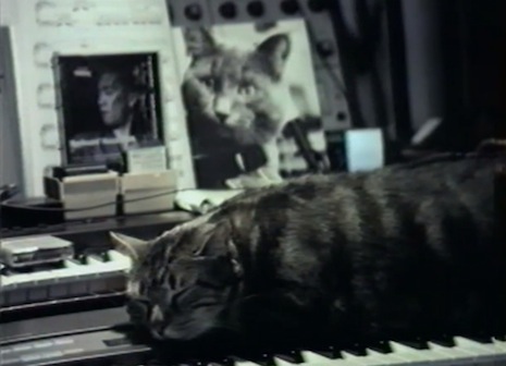 Chris Marker, Chat écoutant la musique