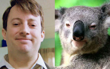 mitchellkoala2