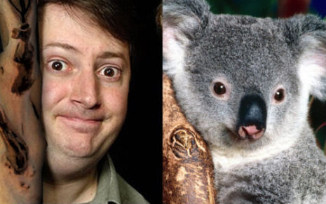 mitchellkoala8