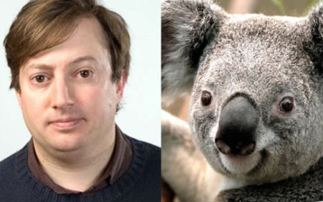 mitchellkoala9
