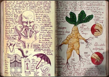 Guillermo del Toro, Cabinet of Curiosities