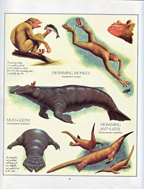 aquatic animals