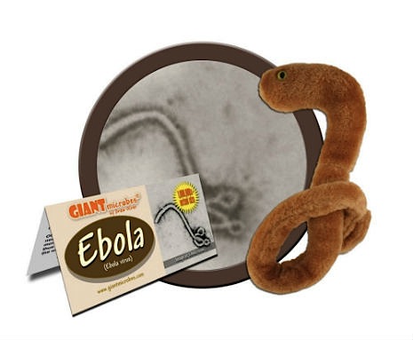 eboty3333.jpg