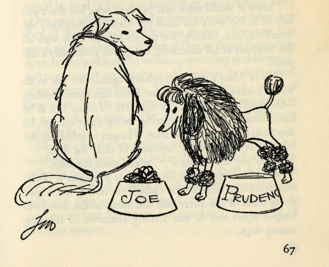 ecirpvindog111111.jpg