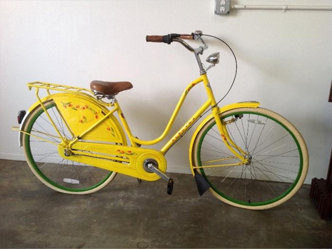 exene bicycle