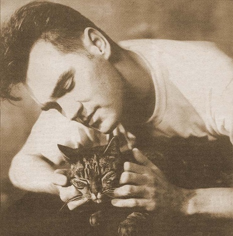 Morrisey