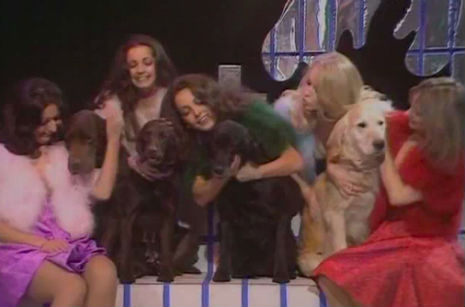 pans_people_get_down