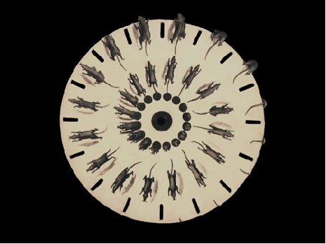 Phenakistoscope image